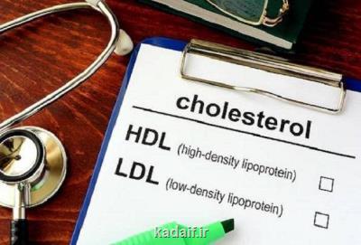 کلسترول خوب به کاهش خطر آلزایمر کمک می نماید
