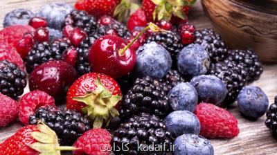 ترکیب موجود در میوه ها از بیماری پارکینسون پیشگیری می کند