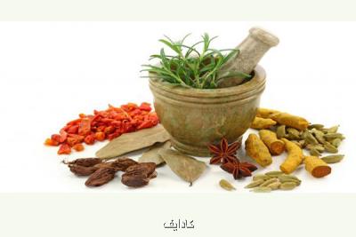 برگزاری اولین جلسه مبلغین شهرستان اراک با مبحث طب سنتی و کرونا