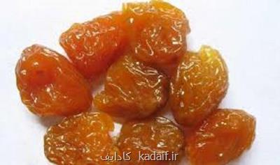 خوردن آلو به محافظت استخوان ها در زنان مسن کمک می نماید