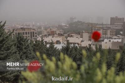 تغذیه روزهای آلودگی هوا