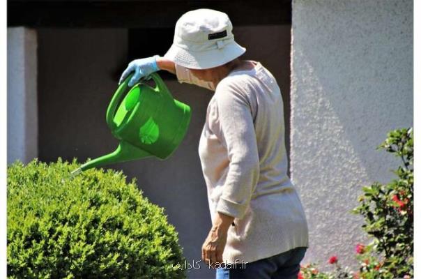 سفارش هایی برای حفظ سلامت سالمندان در گرمای هوا