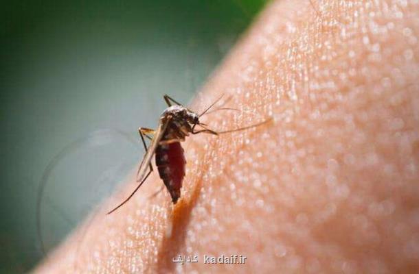 استانهای اندمیک مالاریا در ایران