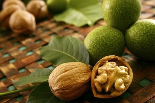 مصرف گردو با کاهش خطر مبتلا شدن به بیماری های قلبی عروقی مرتبط می باشد