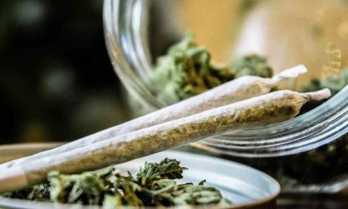علائمی شبیه روان پریشی و جنون در کمین مصرف کنندگان گل