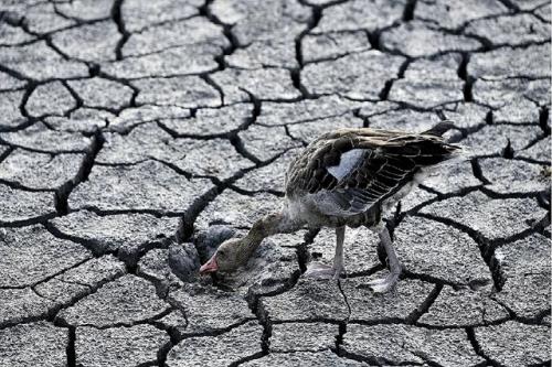 هارپ و ابردزدی پوششی برای ضعف ۶۰ ساله مدیریت آب