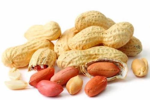 قرارگیری سریع در معرض بادام زمینی از آلرژی جلوگیری می کند
