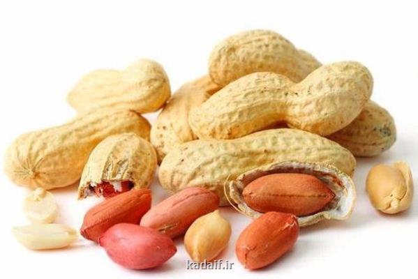 قرارگیری سریع در معرض بادام زمینی از آلرژی جلوگیری می کند
