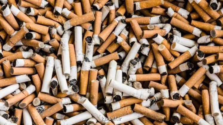صنایع دخانی باید مسئولیت مرگ، بیماری و تحمیل هزینه ها به کشور را متقبل شوند