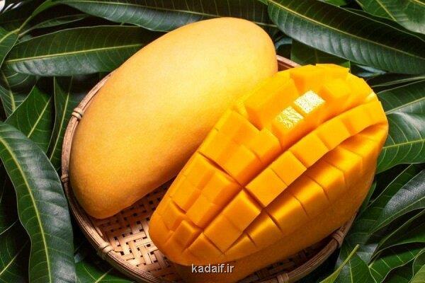 سلطان میوه های استوایی با خواص بی نظیر برای بدن