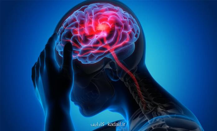 ۲ عامل مبتلاشدن به مه مغزی را بشناسید