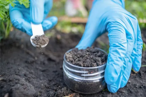 کشف آنتی بیوتیکی قدرتمند که مقاوم ترین باکتری ها را نابود می کند