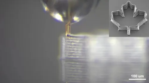 خاصیت اعجاب انگیز نیش پشه