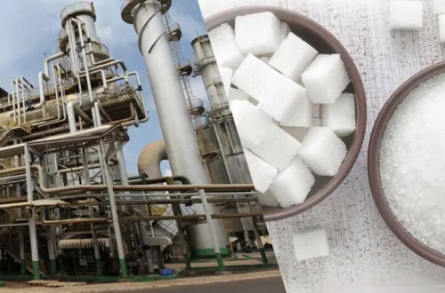 پاسخ سازمان غذا و دارو به روند تولید قند و شکر