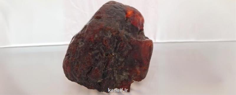 سنگی که به ظاهر بی ارزش بود، میلیون دلاری قیمت خورد!
