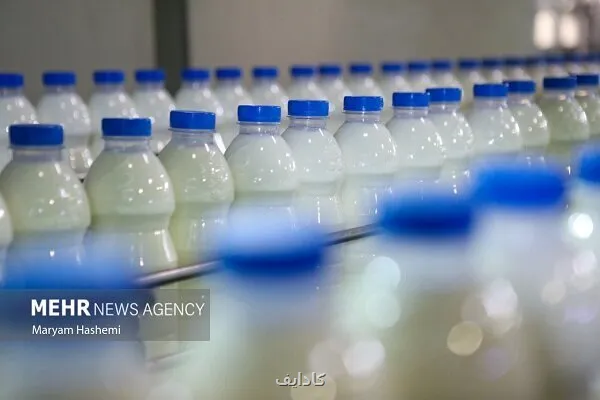 ردپای لبنیات در افزایش بار بیماری استخوان شکن!