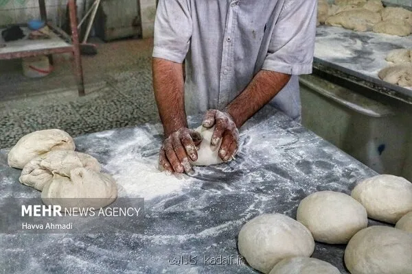 سفارش به پرهیز از افزودنی های بدون مجوز در نانوایی ها