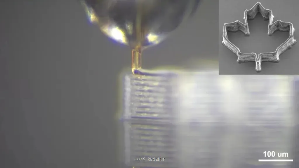 خاصیت اعجاب انگیز نیش پشه