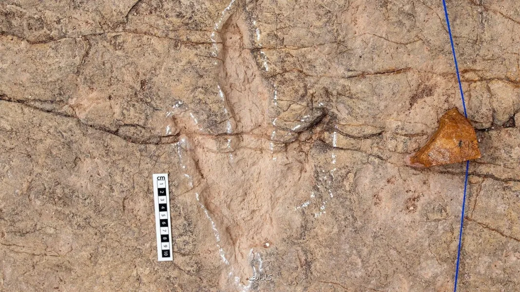 دانشمندان 16 هزار ردپای دایناسور را در بولیوی ثبت کردند