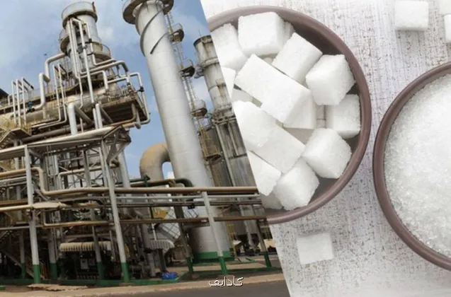 پاسخ سازمان غذا و دارو به روند تولید قند و شکر