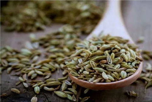 آیا رازیانه باعث افزایش شیرمادر می شود