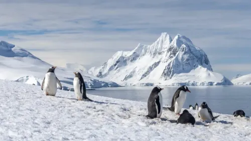 رکورد سرما