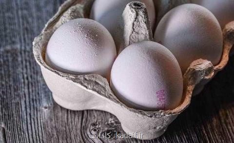 سفارش كارشناسان به مصرف روزانه تخم مرغ