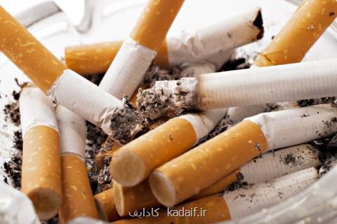 12 درصد مرگ و میرهای یزد ناشی از مصرف دخانیات است