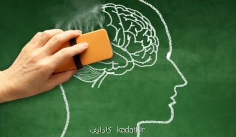 آلزایمر چه كسانی را درگیر می كند؟
