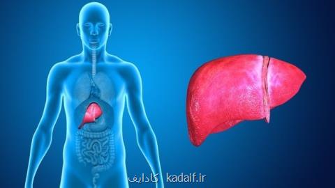 ۶ سفارش برای پاكسازی كبد