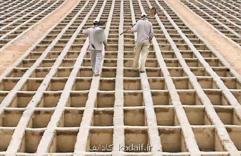 بروز و عوامل خطر مرگ و میر زودرس