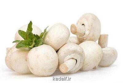 مصرف قارچ خطر سرطان پروستات را می كاهد