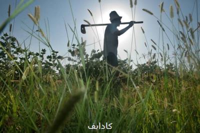 اخطار فائو درباره تأثیرات تغییر اقلیم بر امنیت غذایی