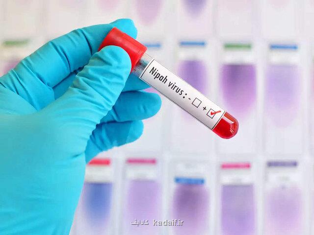 خطر همه گیری ویروس شایع شده در مناطقی از آسیا