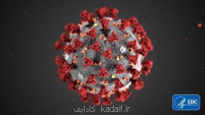 كروناویروس جدید، ۹ روز روی سطوح آلوده باقی می ماند