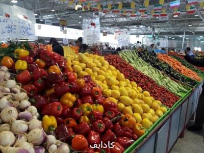 راهنمای تغذیه برای مقابله با بیماری های تنفسی