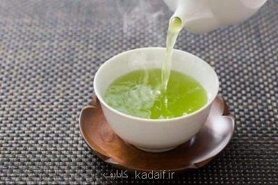 تأثیر عصاره چای سبز در مقابله با فیبروز ریوی