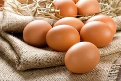 مصرف 3 تا 6 تخم مرغ در هفته ریسك بیماری قلبی عروقی را می كاهد