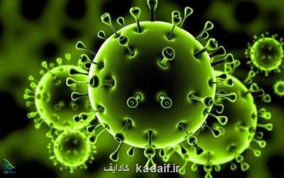 احتمال مبتلا شدن به كرونا ویروس از راه غذا وجود ندارد