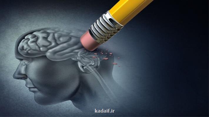 نانوابزاری كه به پیش گیری از بروز آلزایمر كمك می نماید