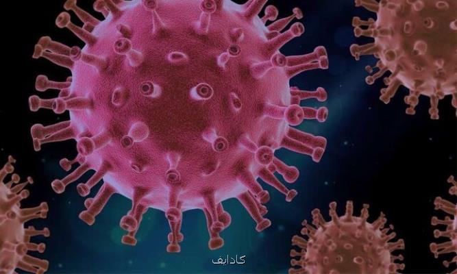 افزایش آمار مبتلایان به كرونا در امارات