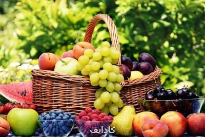 اصول تندرستی تابستانه، دلیلهای چرب شدن كبد