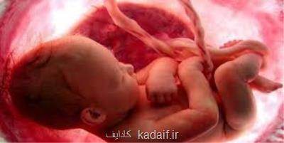 زباله ای كه به انسان زندگی می بخشد