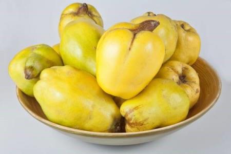 خواص به را بشناسیم